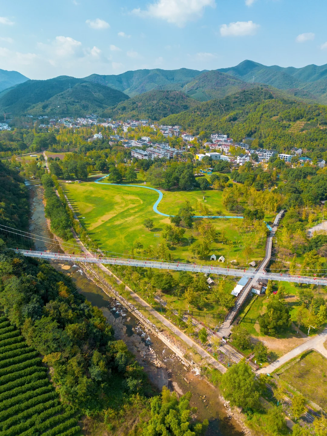 接下来,浙江这个银杏村将美到next level….