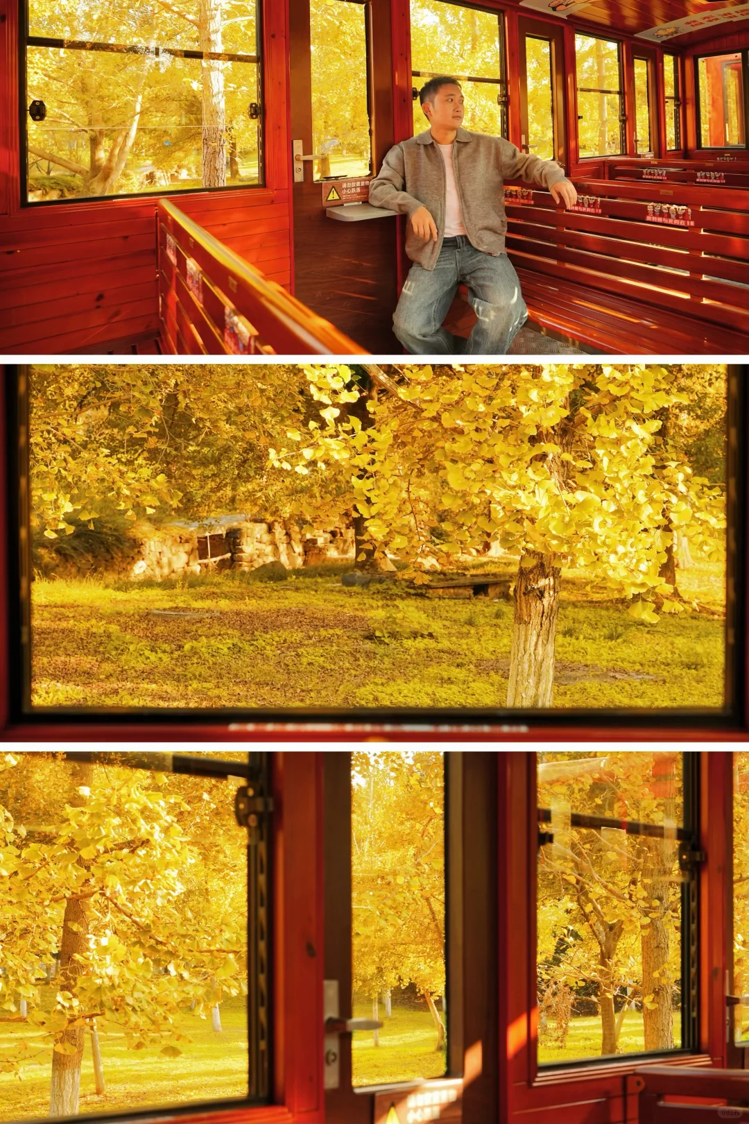 不在北京!!在浙江!!百年银杏村巨秋天🍂