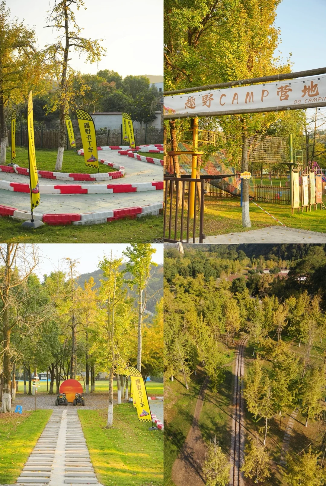 不在北京!!在浙江!!百年银杏村巨秋天🍂