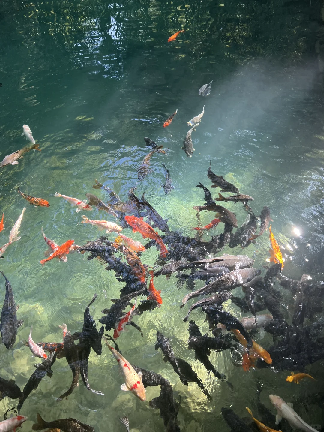 一张图看懂临朐怎么玩|临朐最全攻略