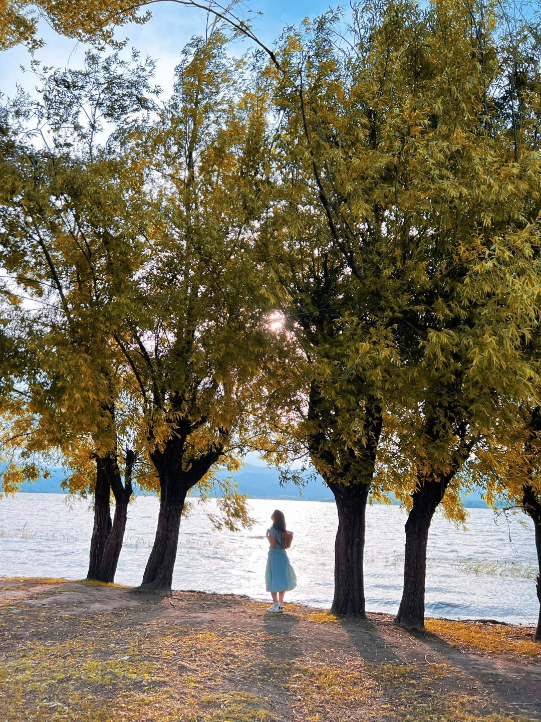 大理不止苍山洱海，还有沙溪剑湖的秋天…