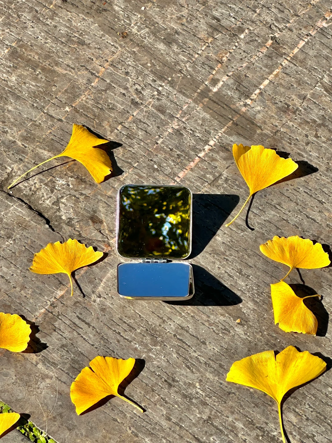 11.6实况🍂南京汉中门的银杏已黄60%……美哭