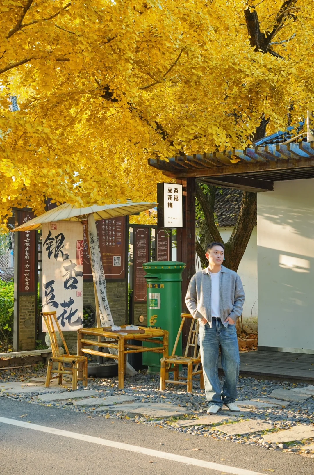 不在北京!!在浙江!!百年银杏村巨秋天🍂
