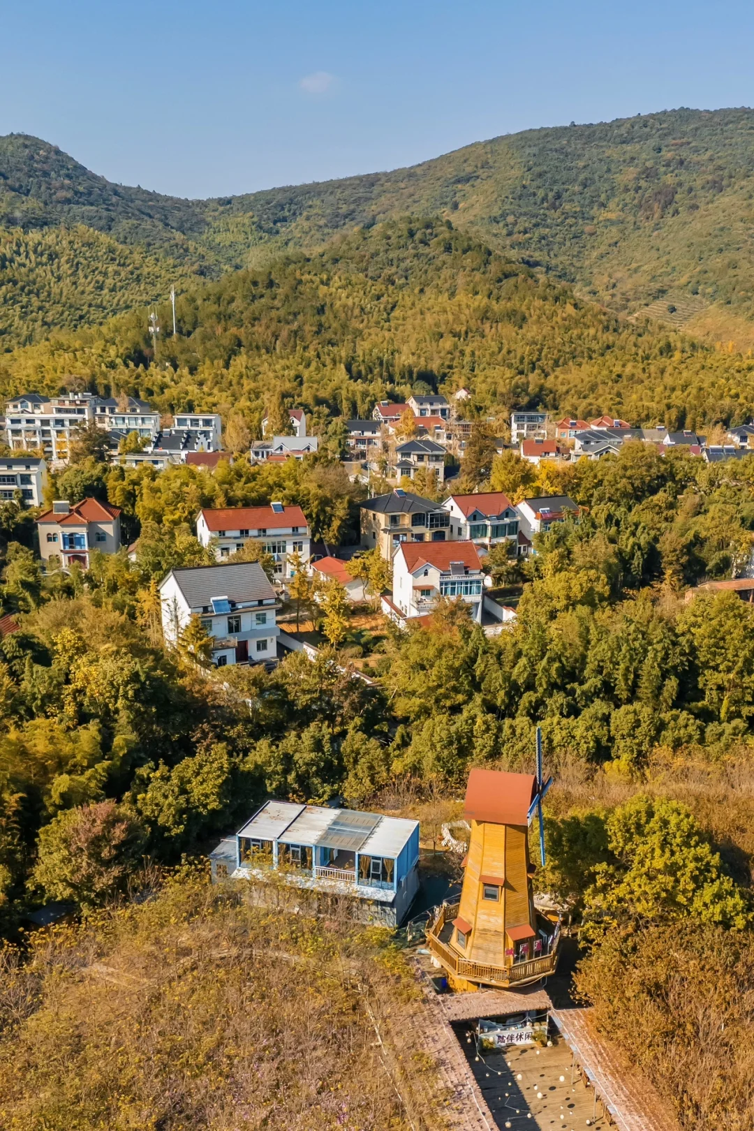 不在北京!!在浙江!!百年银杏村巨秋天🍂
