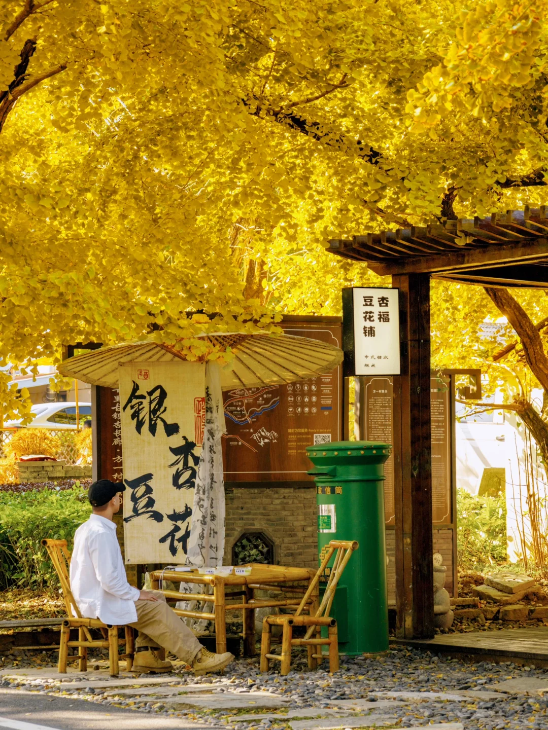 接下来,浙江这个银杏村将美到next level….