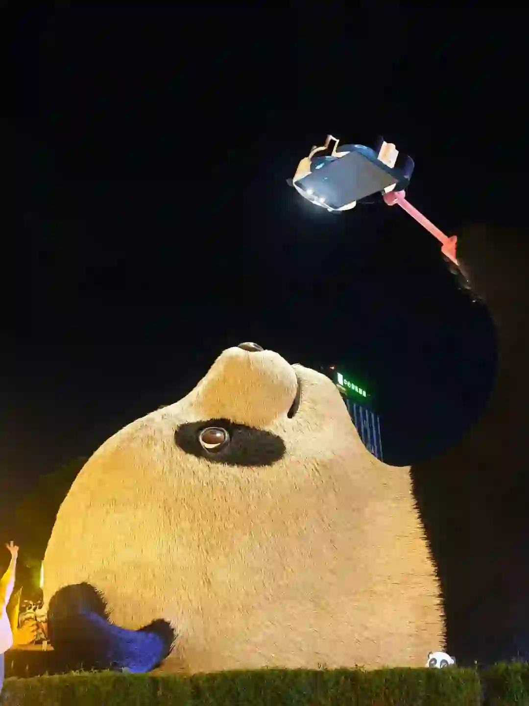 ❗真的不要直接去都江堰和熊猫谷......