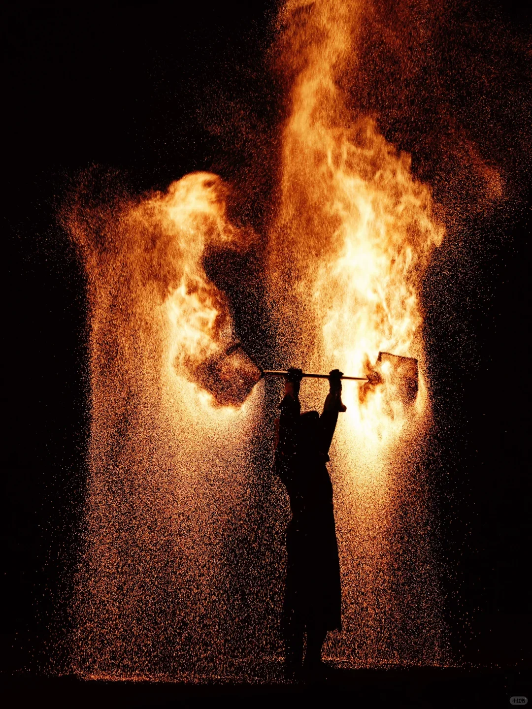 11.6和家人开封已回📍真心建议大家……