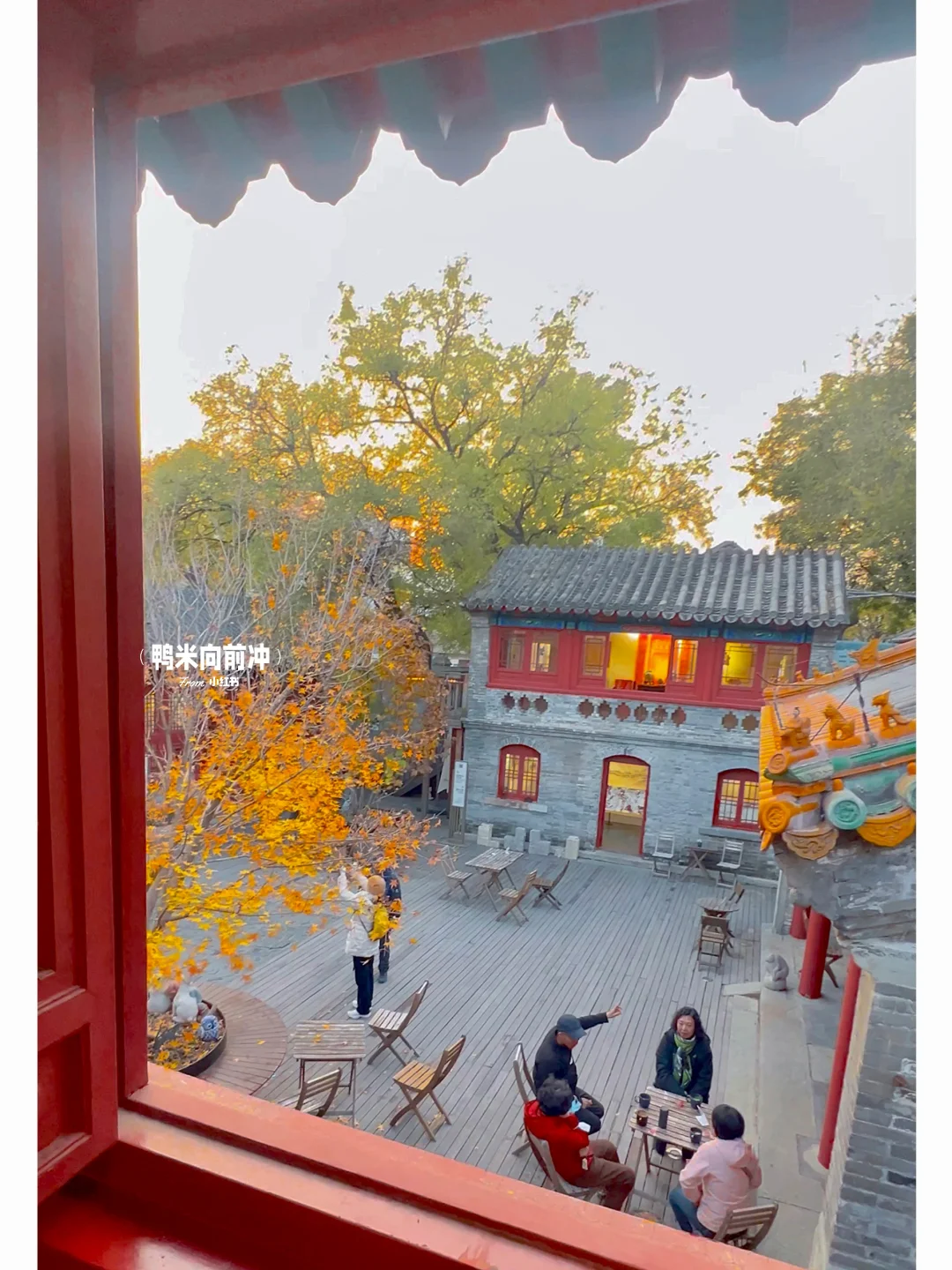 11.8实❗️被北京醉神秘古刹😭700岁银杏美哭