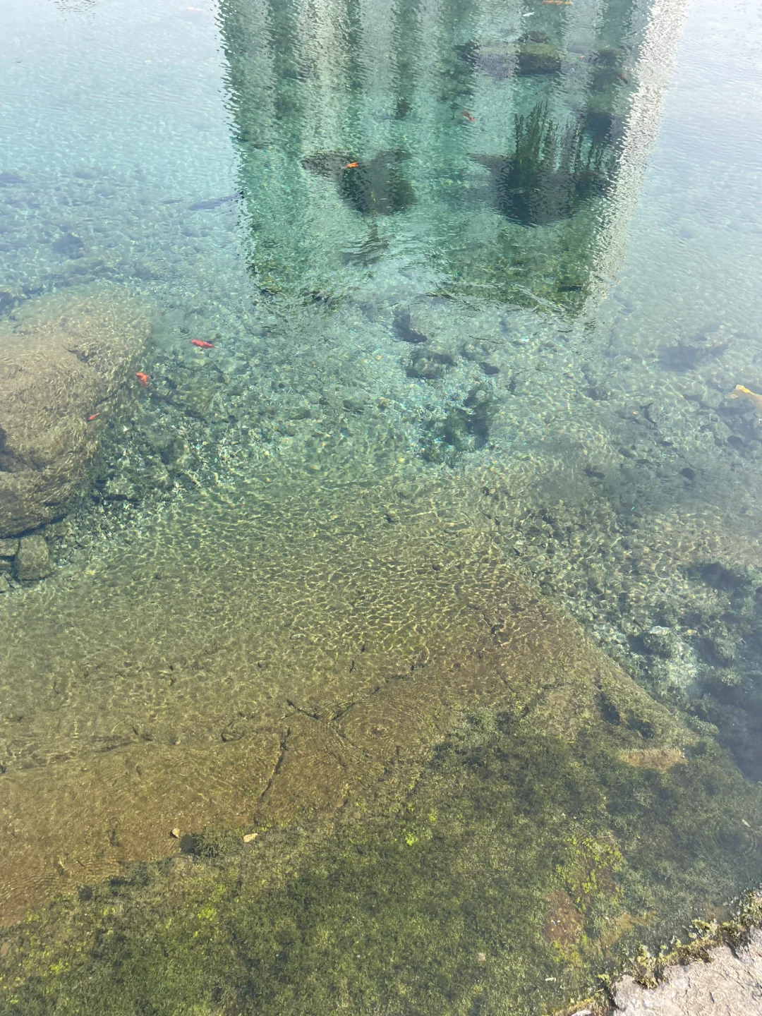 这不是在九寨沟！是在邯郸黑龙洞景区🐉