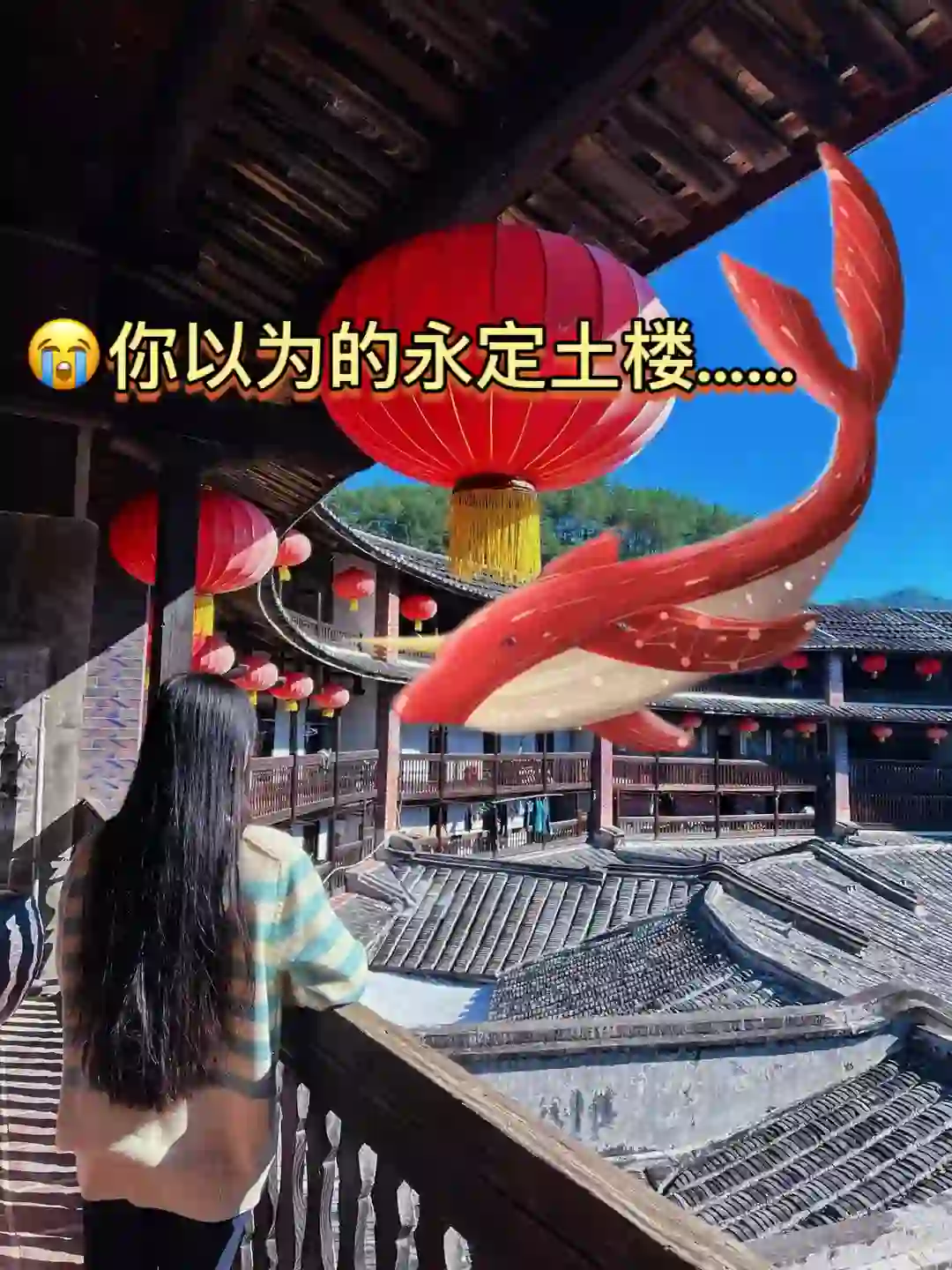 😓刚从永定土楼回来,已老实(附避雷建议)