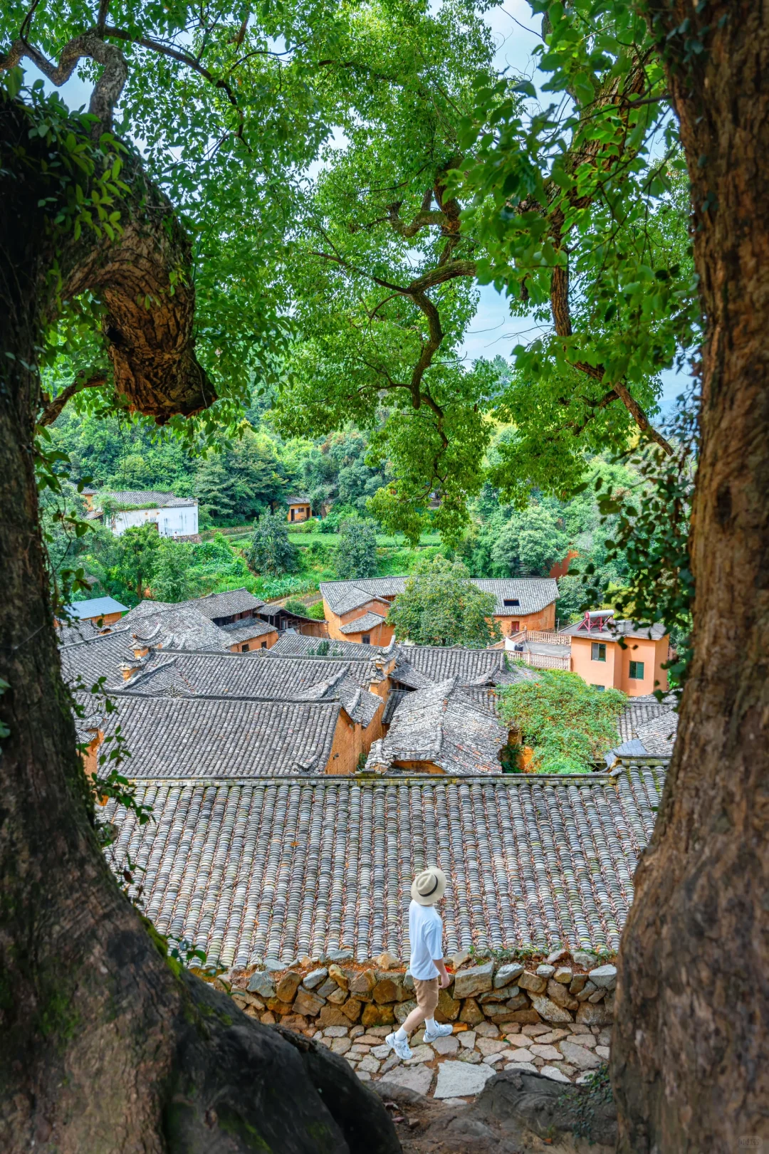 迄今为止，江浙沪最被低估的宝藏小城出现了