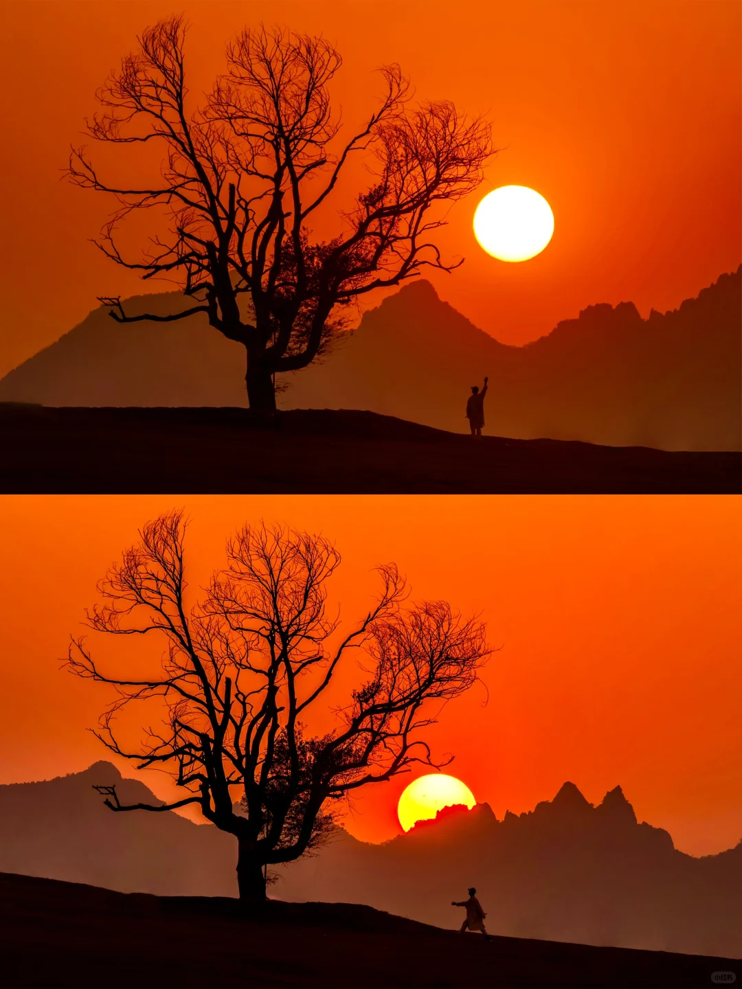 山东被严重低估的艺术小镇，好玩又冷门😭