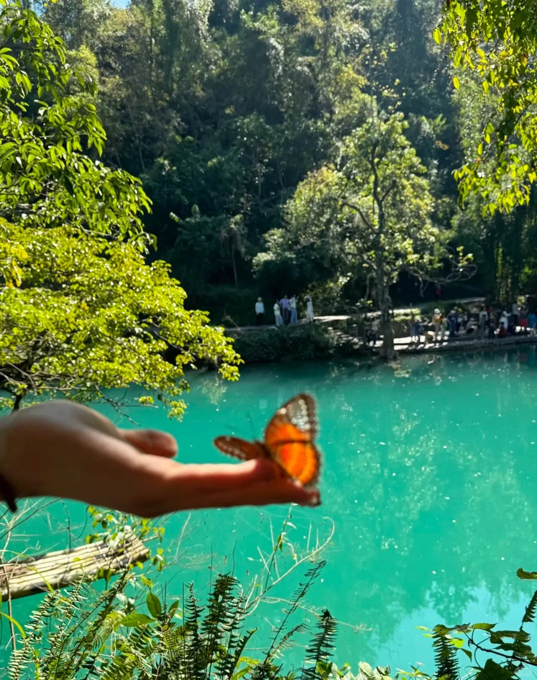 贵州淡季反向旅游太香啦!2k玩六天...