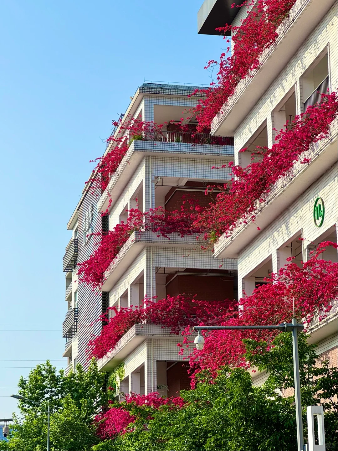 本人做的重庆旅游攻略已经next level了!!