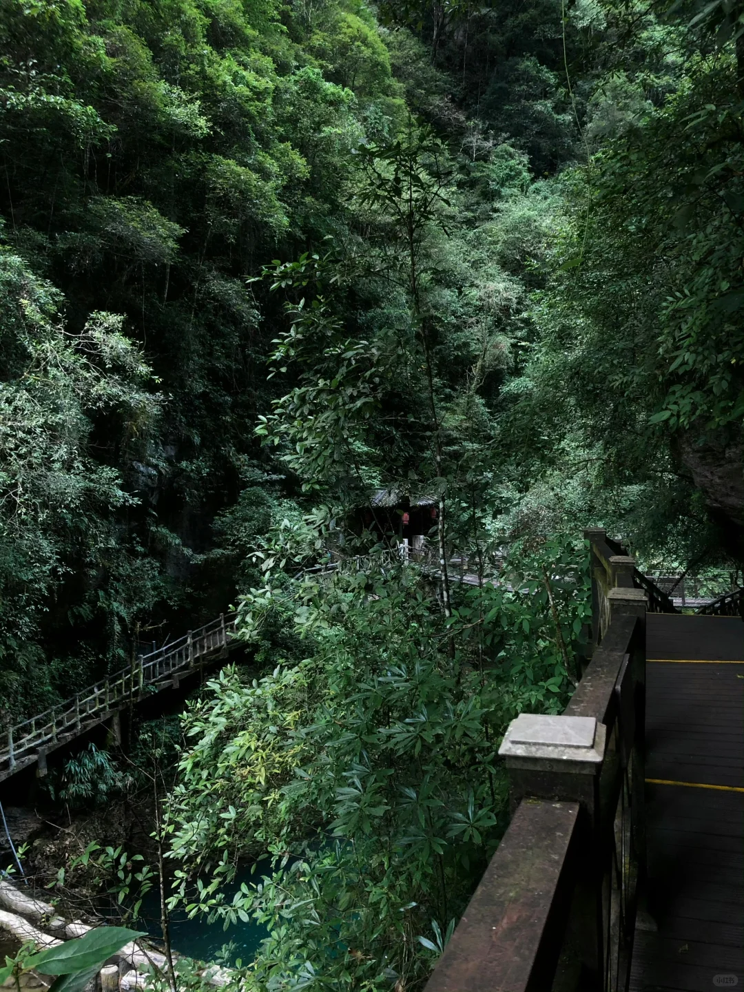 国家地理真的没骗我😭今年还去…