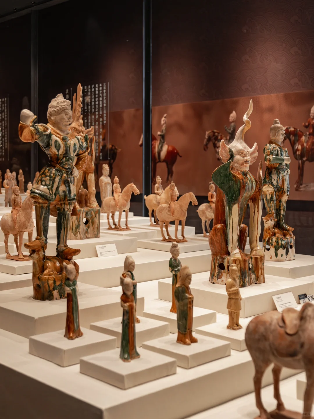 以为西安够美了,直到我去了洛阳😭