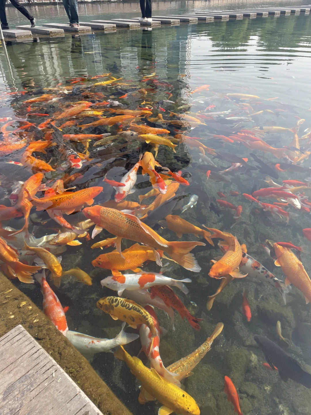 这不是在九寨沟！是在邯郸黑龙洞景区🐉