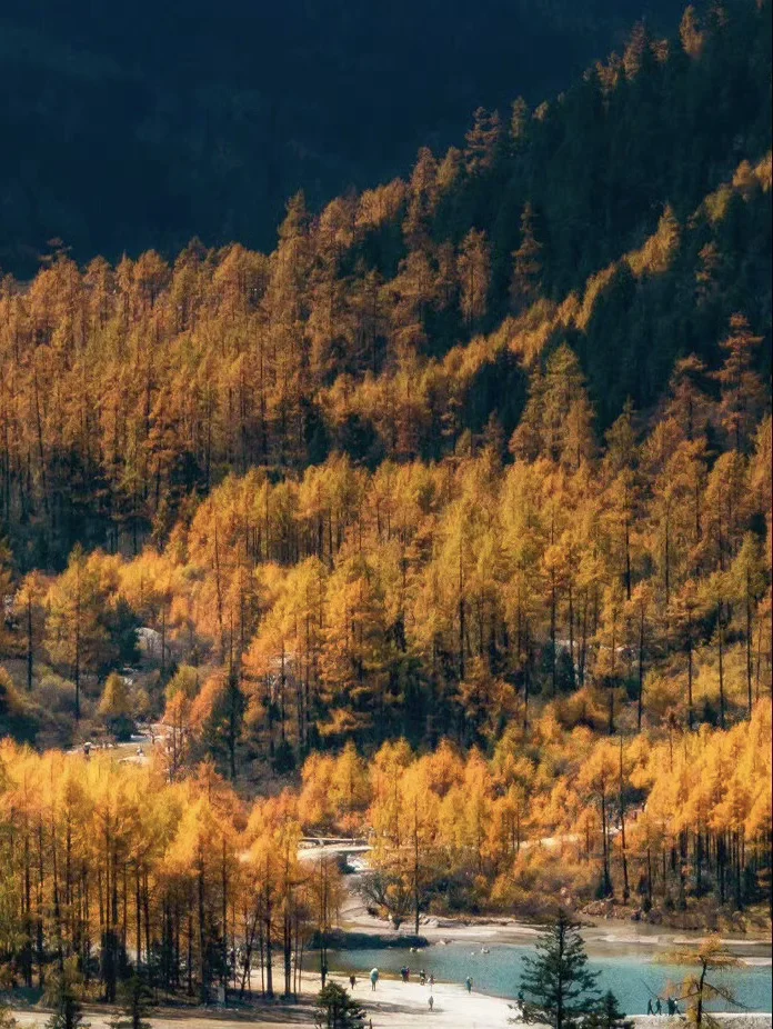 11.5 📍川西已回,近期live实况直出劝退不了