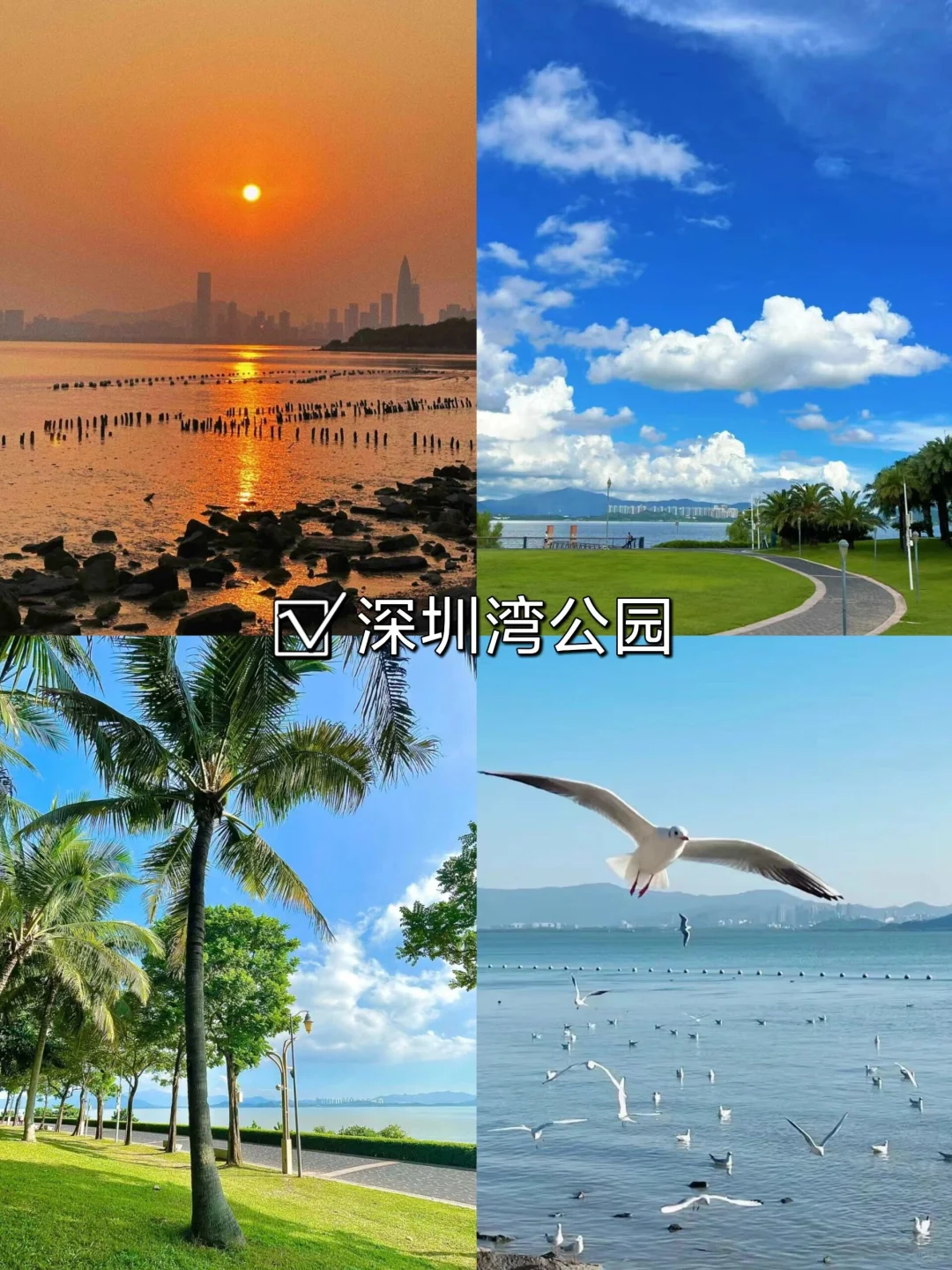 地铁直达🚇深圳12个游玩景点攻略合集🔥