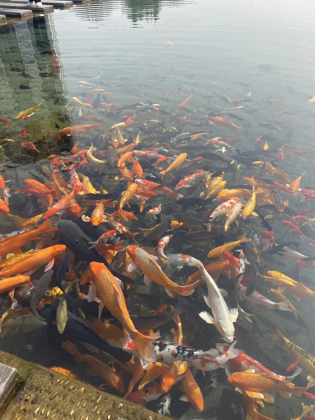 这不是在九寨沟！是在邯郸黑龙洞景区🐉