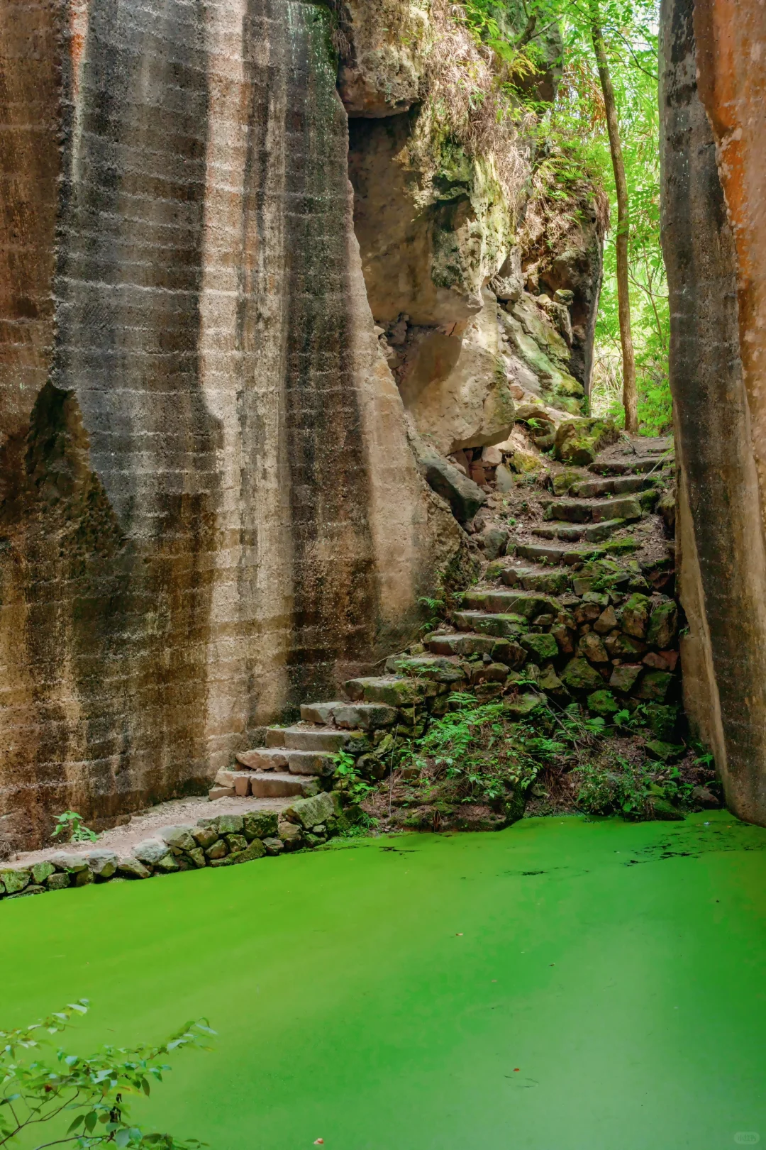 迄今为止，江浙沪最被低估的宝藏小城出现了