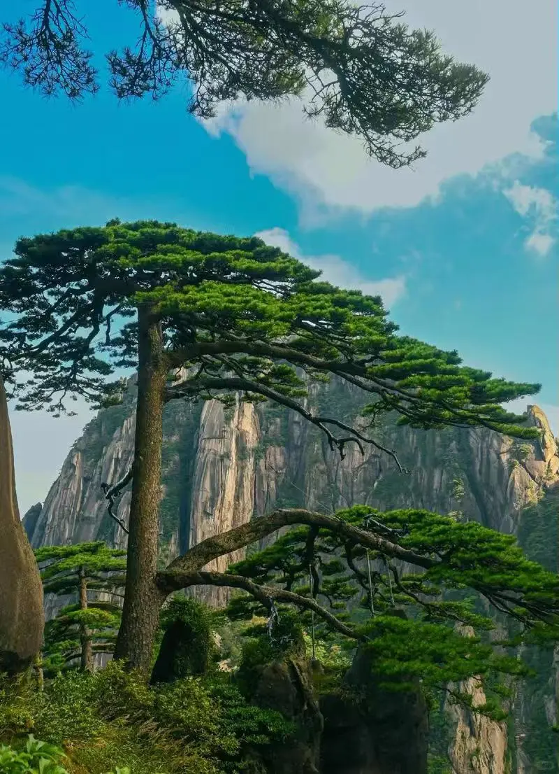 『🆓干货』全国多地100+景区免门票汇总