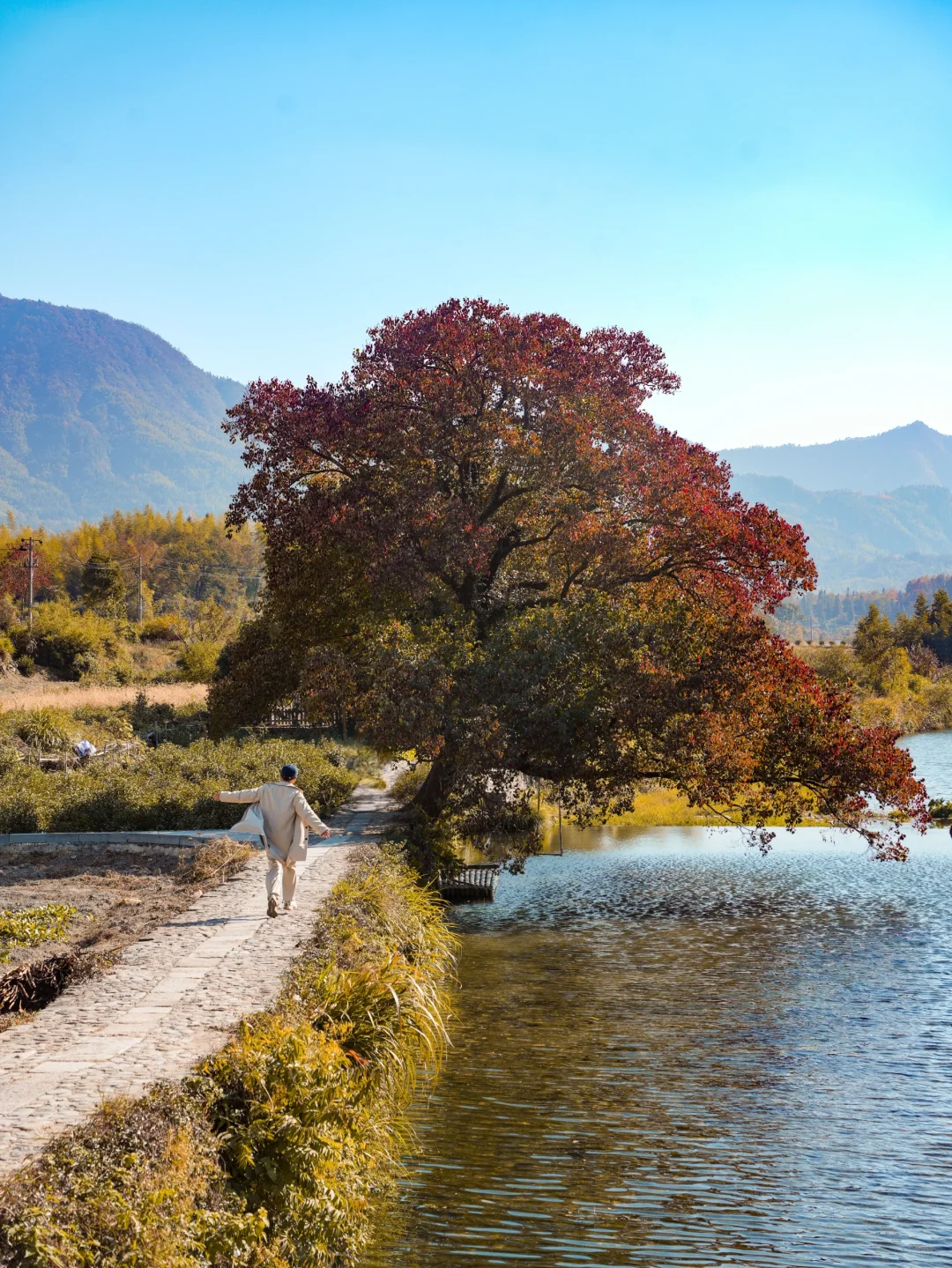 11月的皖南我会爱上1万次❗附赏秋攻略