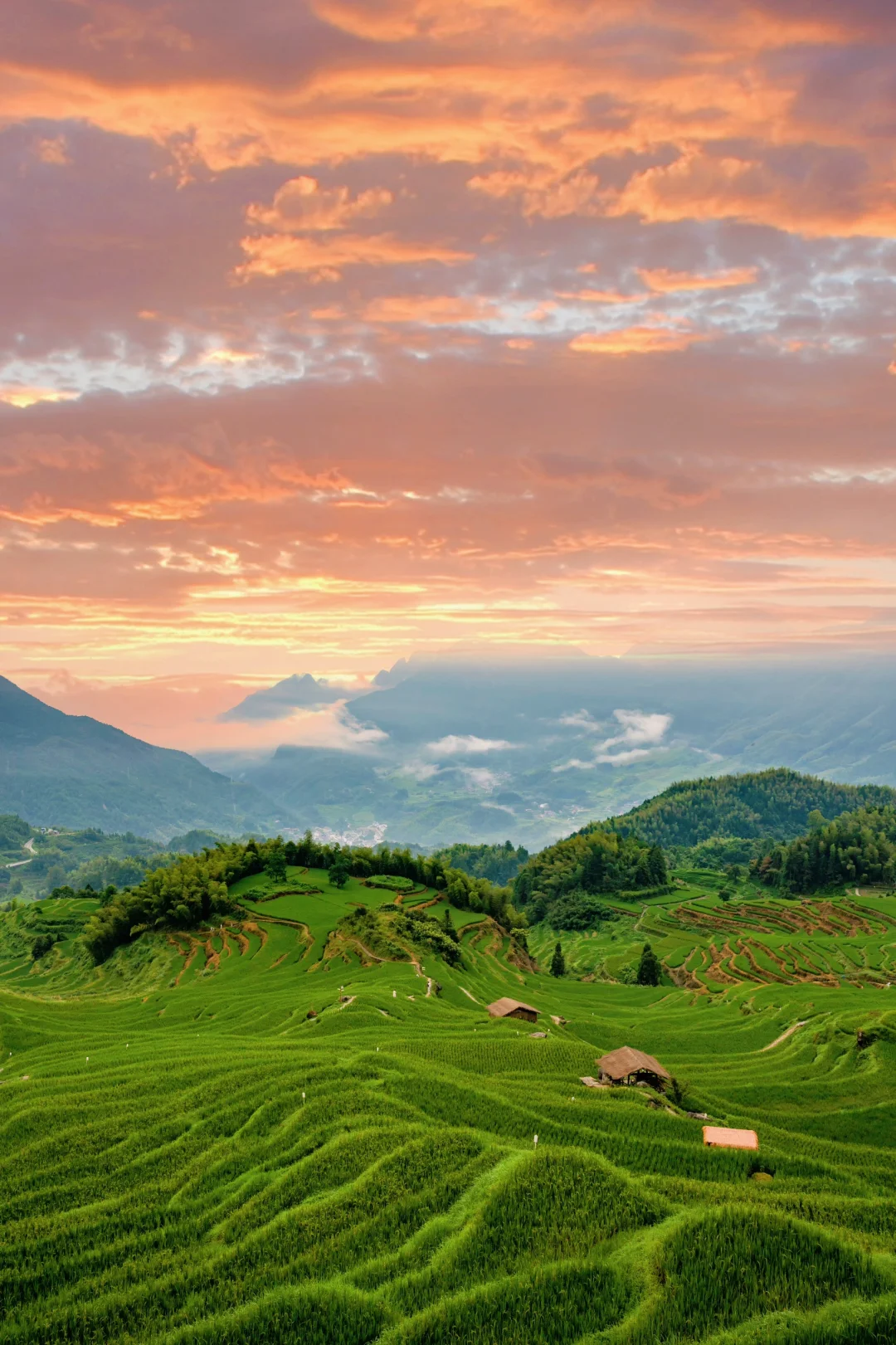 迄今为止，江浙沪最被低估的宝藏小城出现了