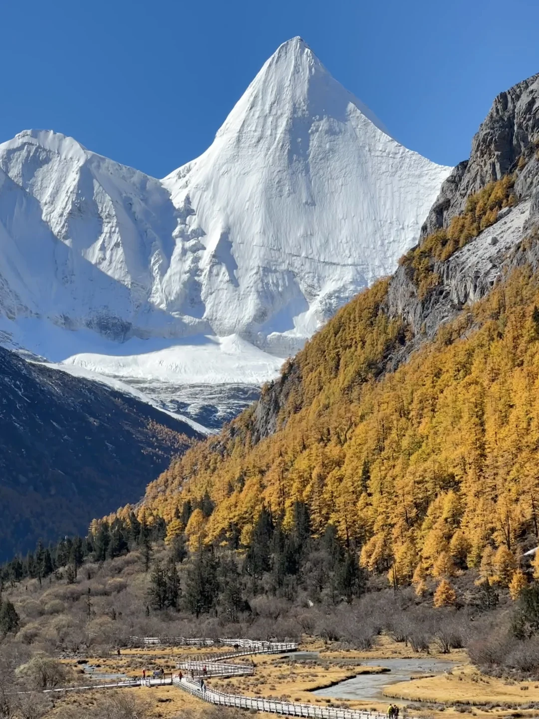 11.5 📍川西已回,近期live实况直出劝退不了