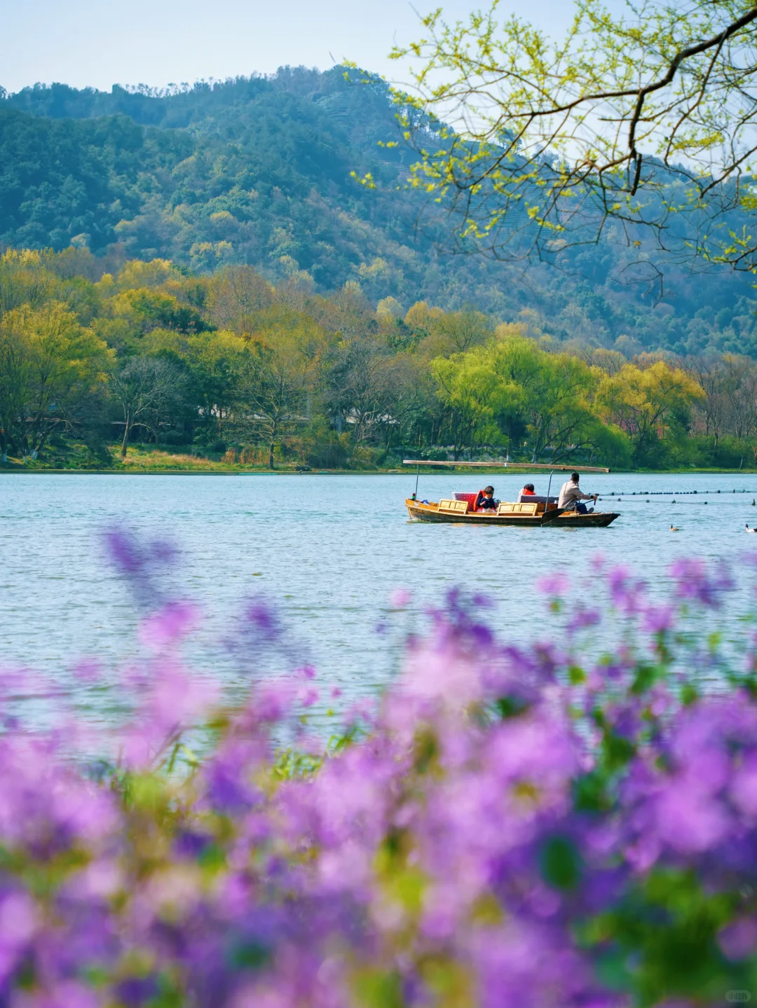 真的没人‼️西湖边zui舒服的citywalk路线