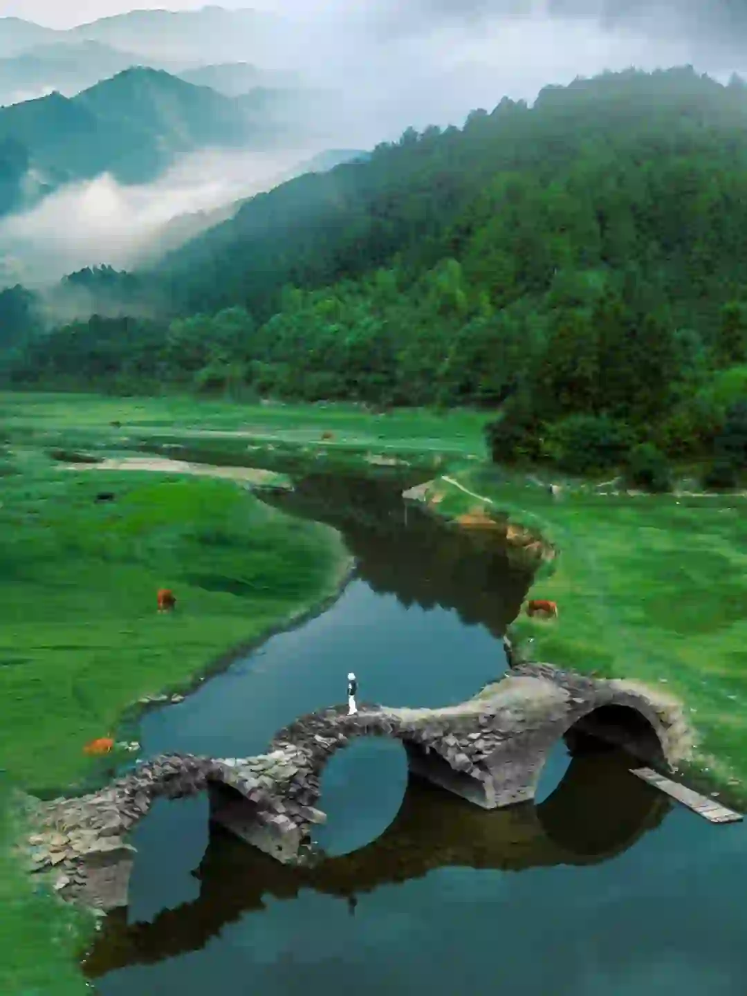 迄今为止，我最喜欢的小城出现了～