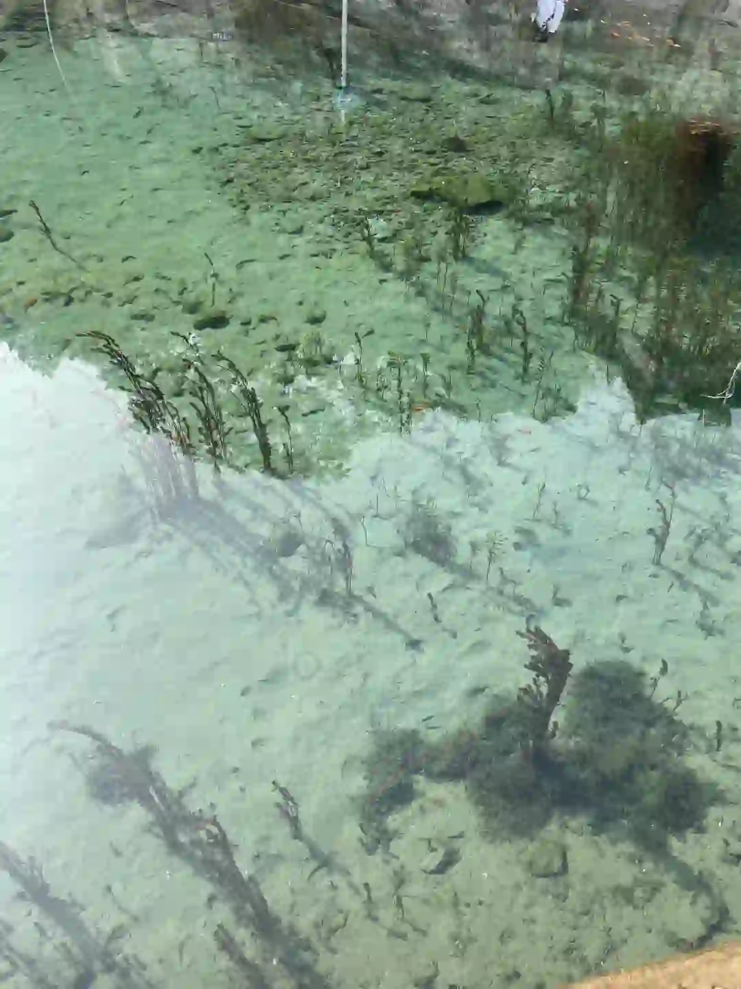 这不是在九寨沟！是在邯郸黑龙洞景区🐉