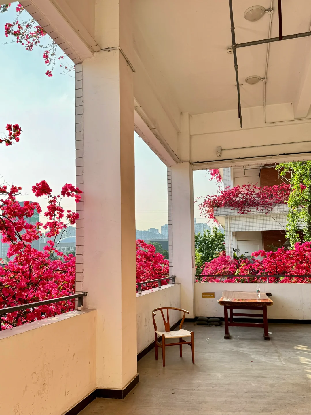 本人做的重庆旅游攻略已经next level了!!