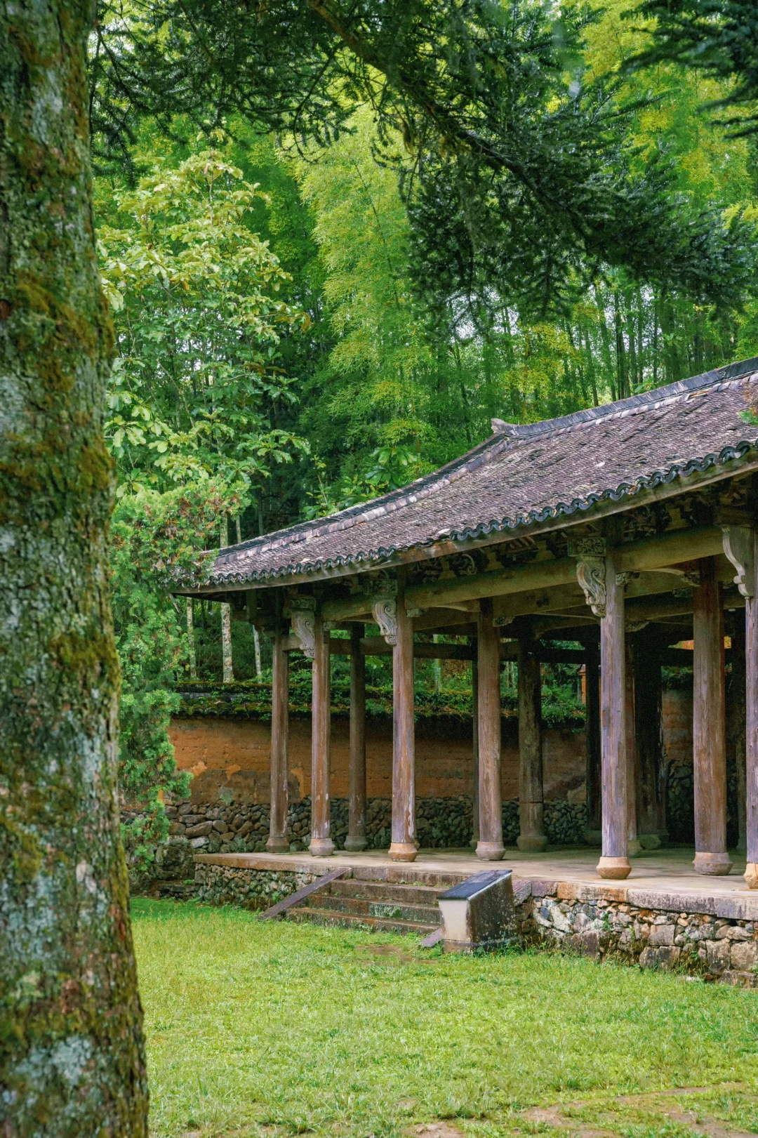 迄今为止，江浙沪最被低估的宝藏小城出现了