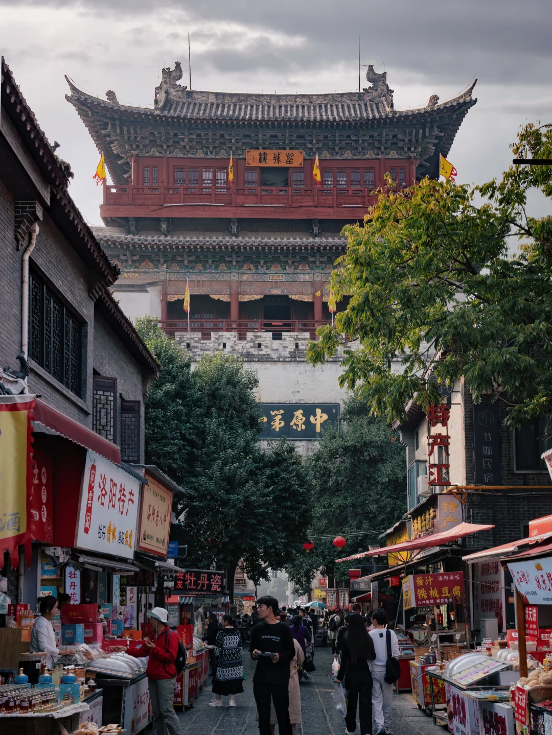 以为西安够美了,直到我去了洛阳😭