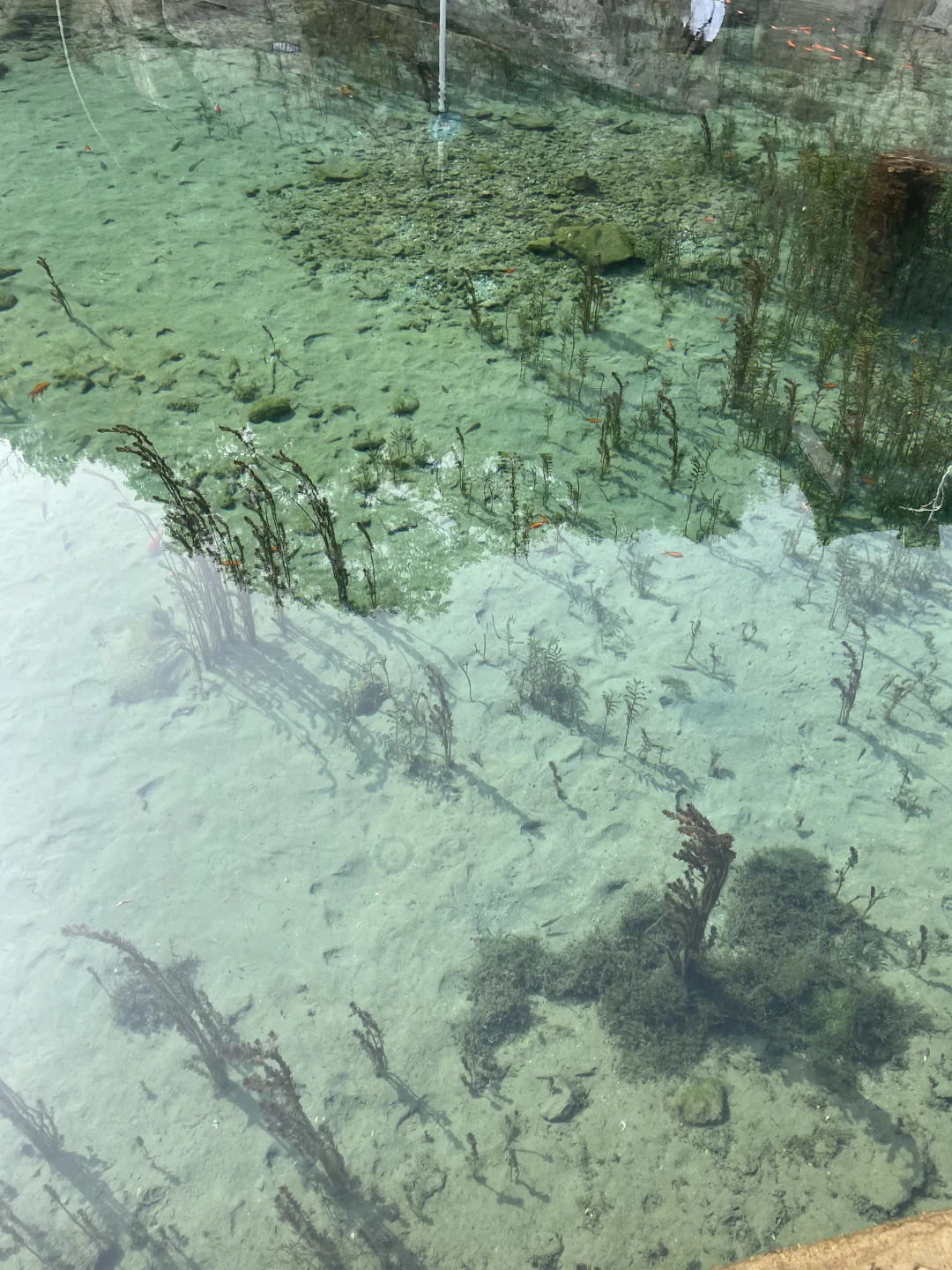 这不是在九寨沟！是在邯郸黑龙洞景区🐉