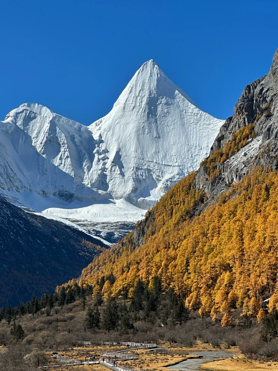 11.5 📍川西已回,近期live实况直出劝退不了