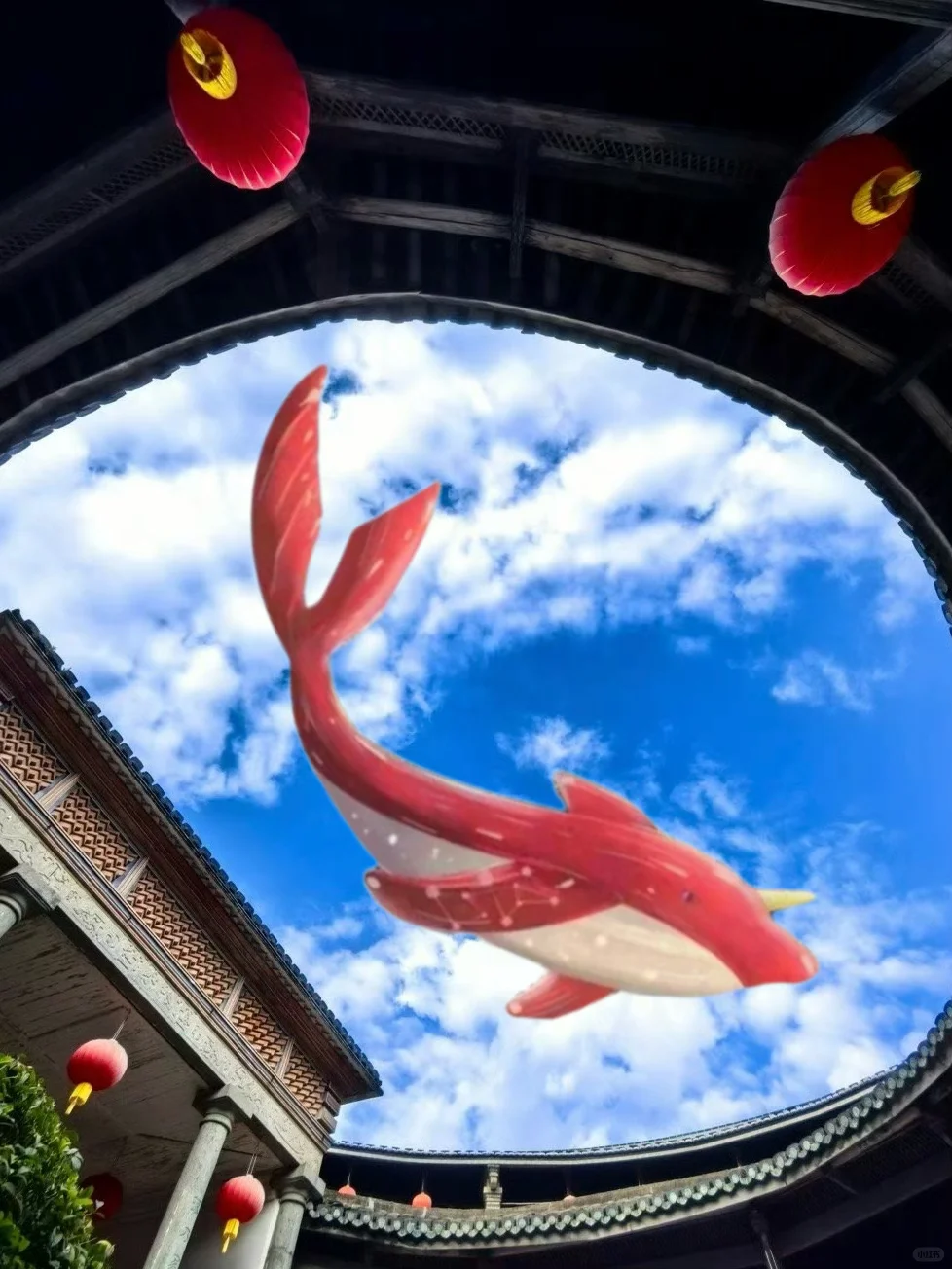 😓刚从永定土楼回来,已老实(附避雷建议)