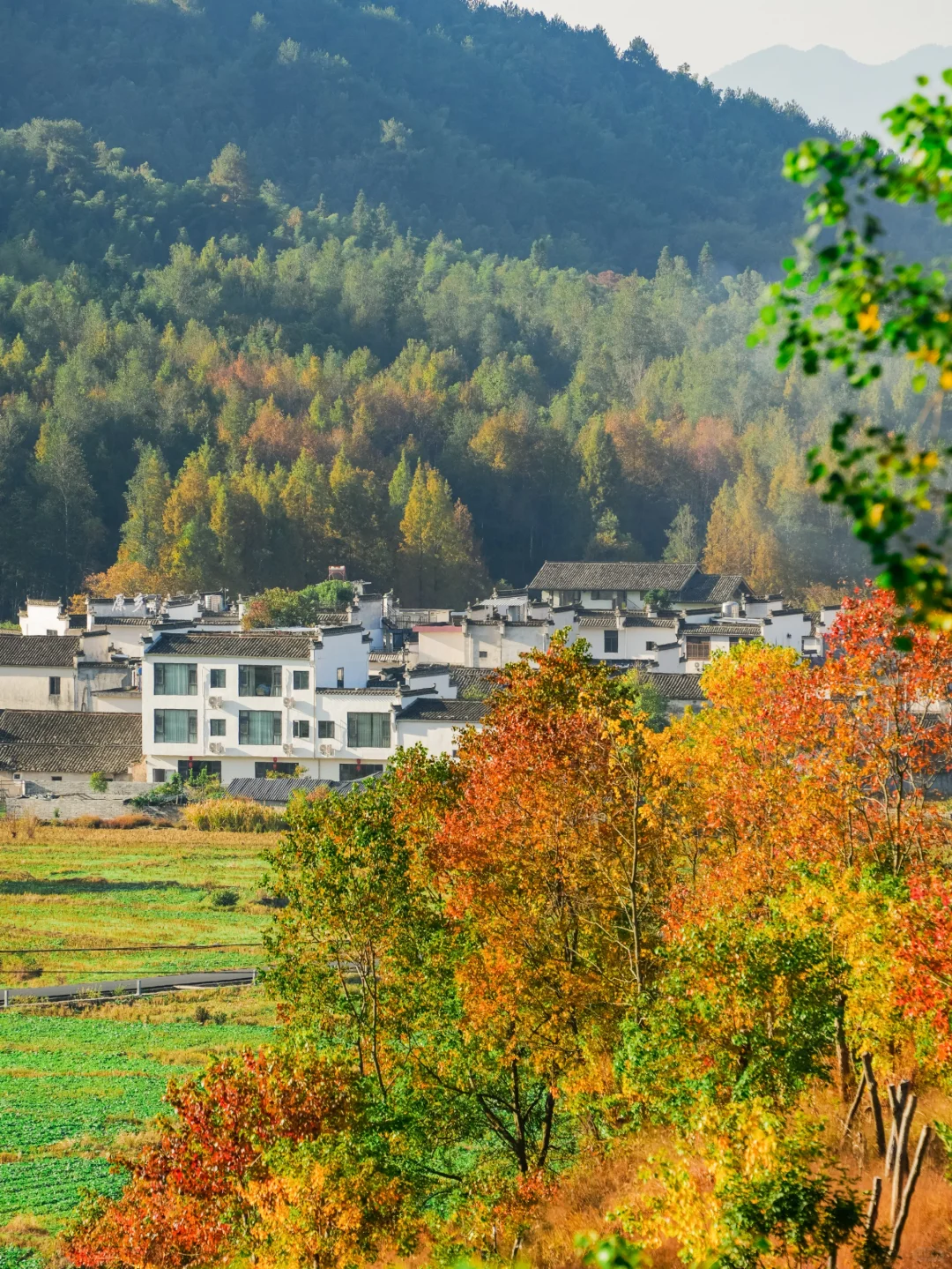 11月的皖南我会爱上1万次❗附赏秋攻略