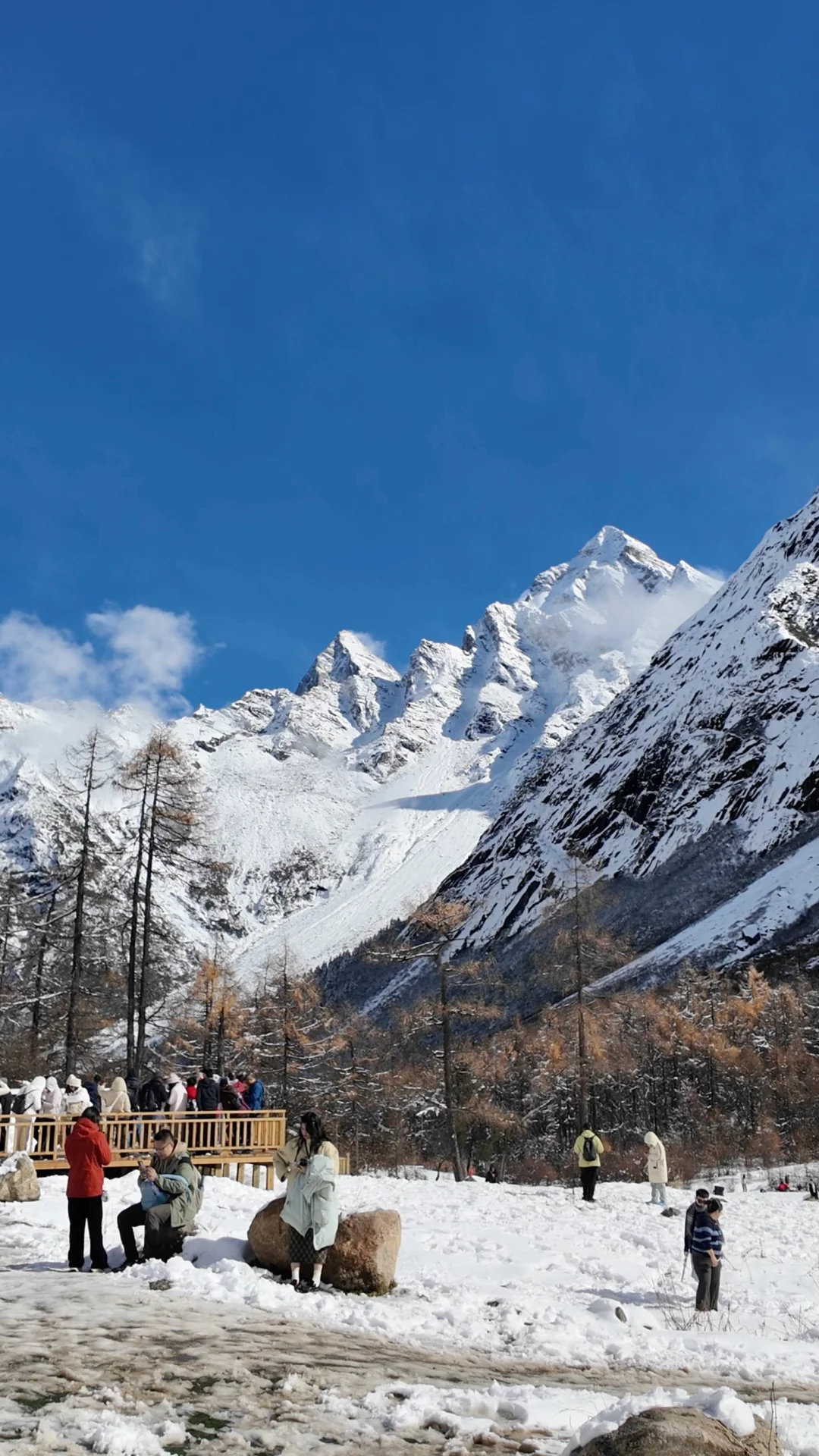 11.5 📍川西已回,近期live实况直出劝退不了