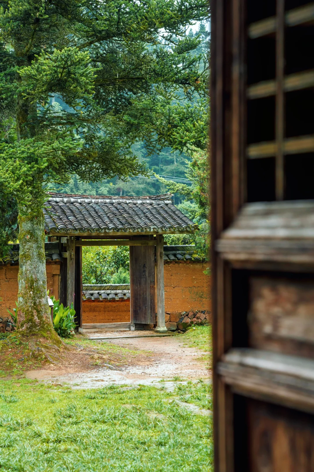 迄今为止，江浙沪最被低估的宝藏小城出现了