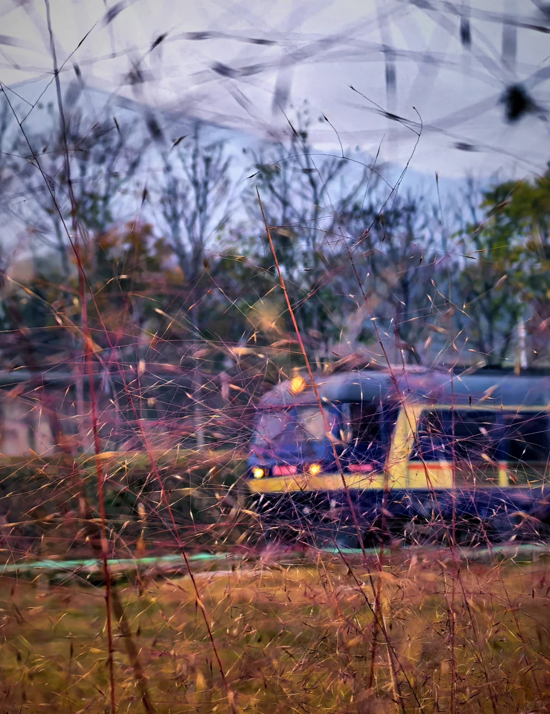 独属于石家庄的浪漫🚆开往深秋的列车