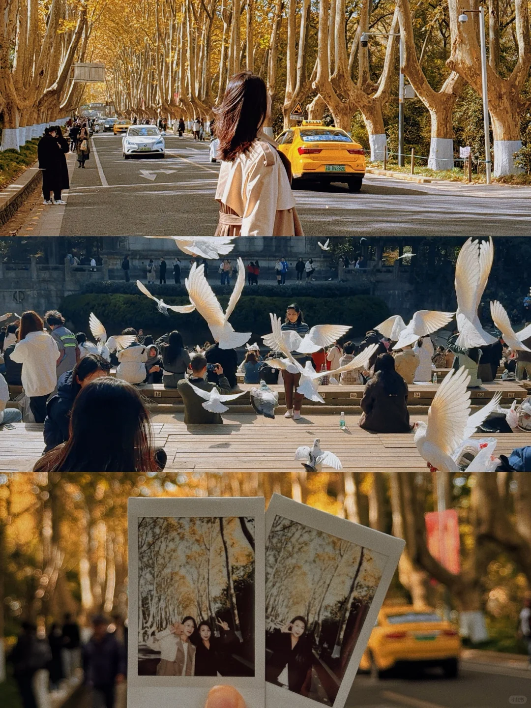 📍南京3天2夜｜保姆级攻略📚City walk路线‼️