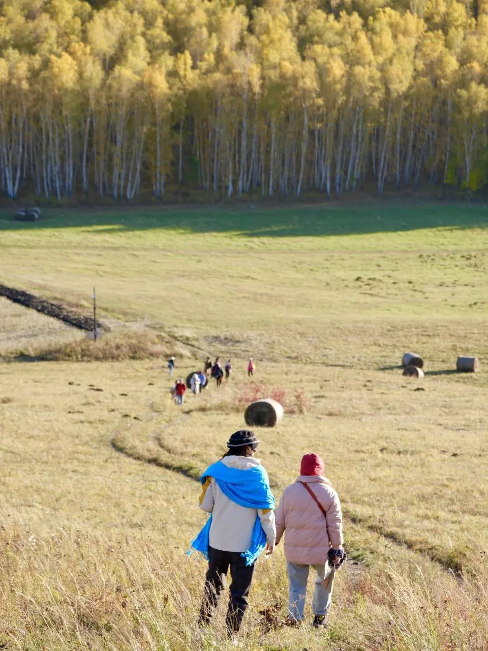 连续4年去过阿尔山，掏心窝子说点大实话