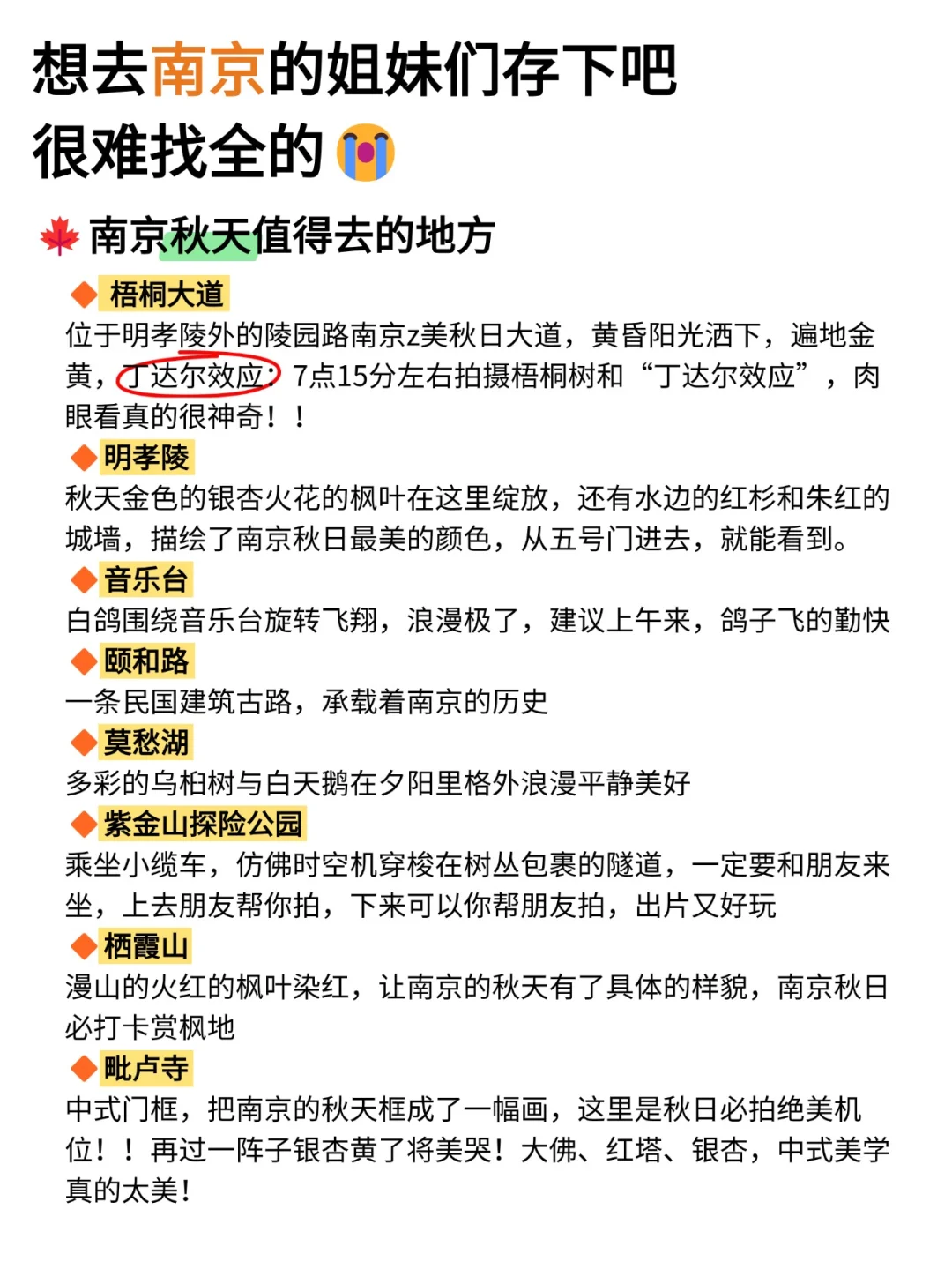 南京淡季旅游新通知📢速速查收✅