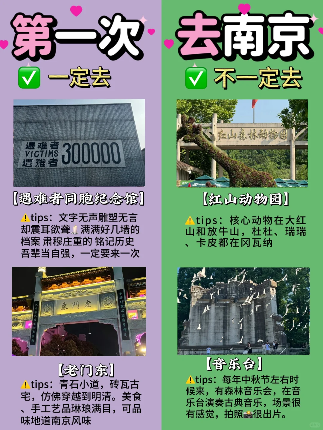 愿每个6-8月去南京的姐妹们👭都能刷到这篇