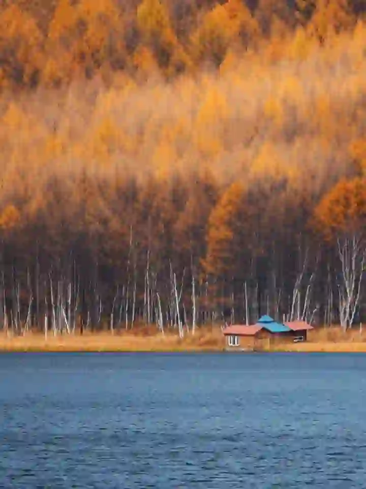 连续4年去过阿尔山，掏心窝子说点大实话