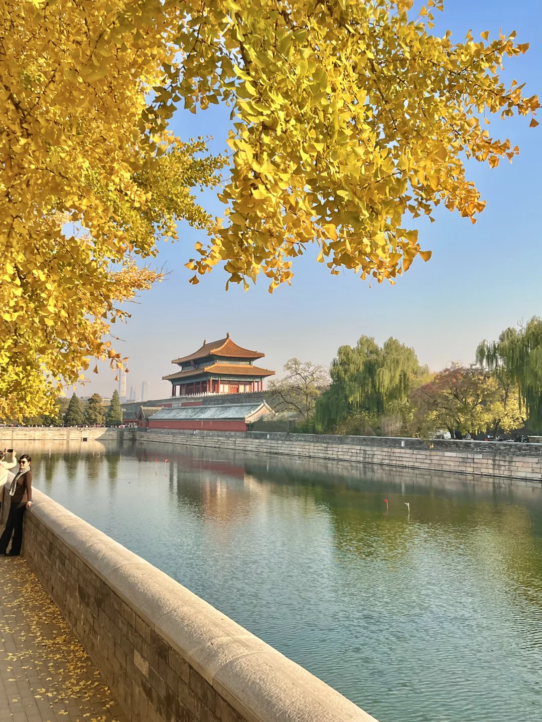 我宣布‼️本周北京这8️⃣个地方银杏已达最佳