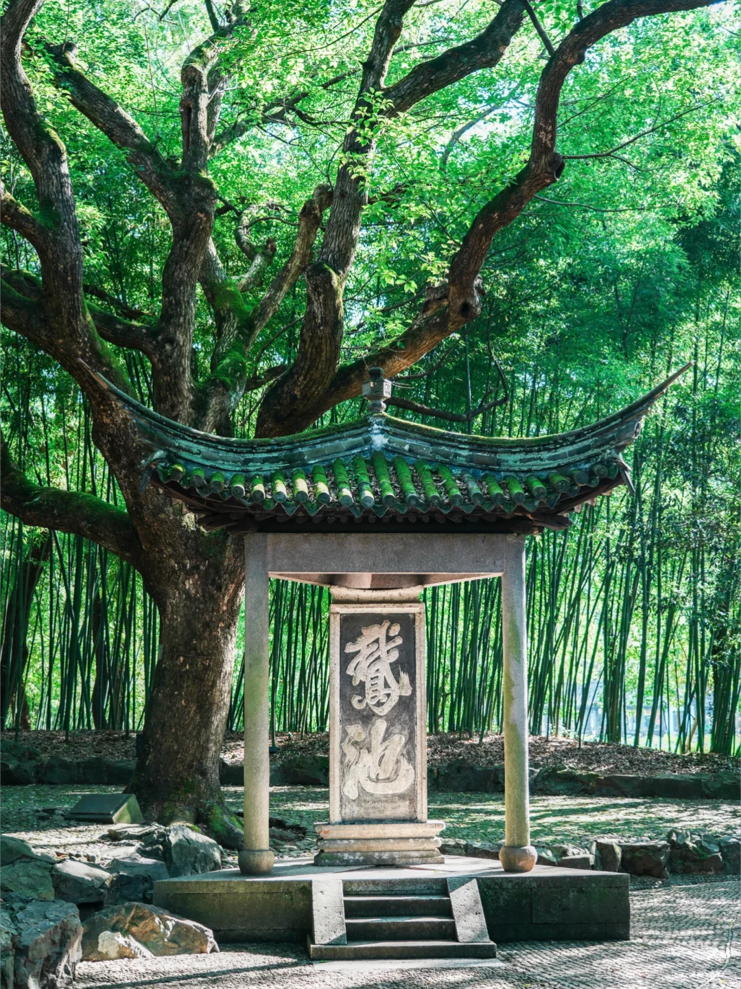 今年为止,我最喜欢的旅游城市出现了🌳