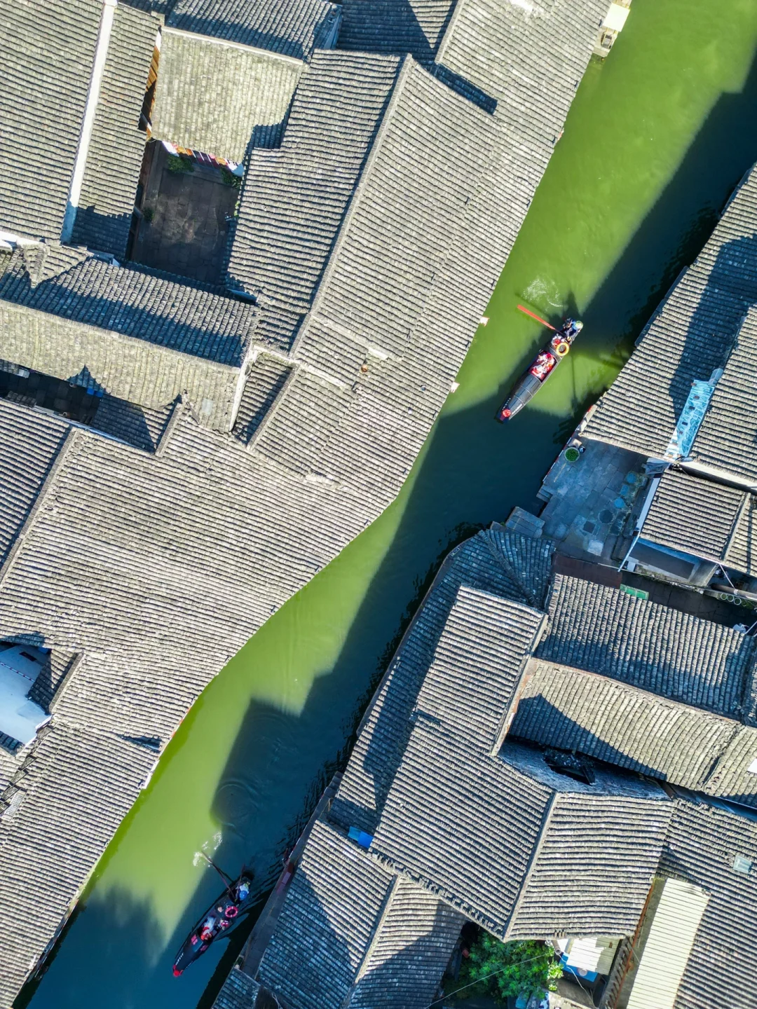 今年为止,我最喜欢的旅游城市出现了🌳